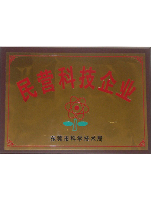 民營(yíng)科技企業(yè)